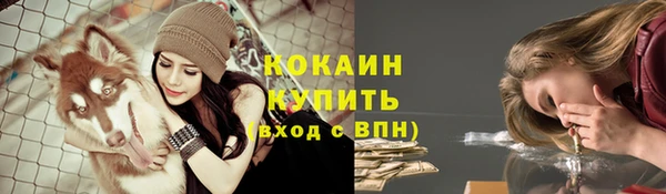 mdpv Вяземский