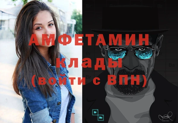 mdpv Вяземский