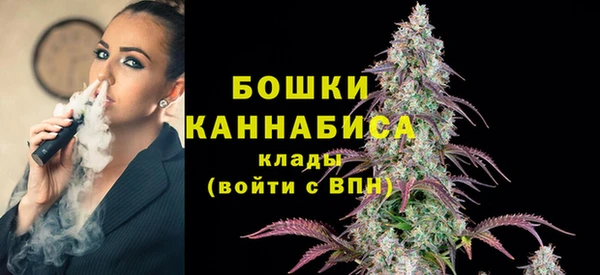 mdpv Вяземский