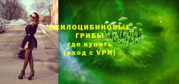 дживик Строитель