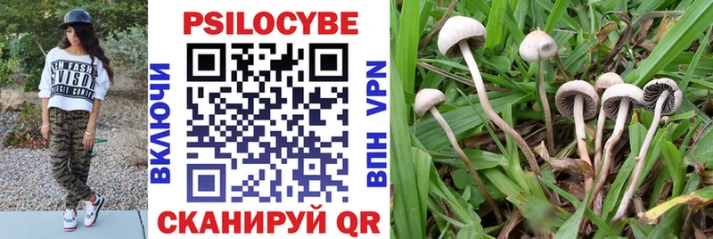 Галлюциногенные грибы Psilocybine cubensis  Зеленоградск 